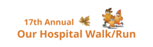 17th Annual (600 × 200 px) (400 × 150 px) (400 × 125 px) (1)